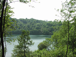 Ferienwohnung Pantenburg